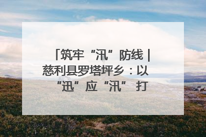筑牢“汛”防线｜慈利县罗塔坪乡：以“迅”应“汛” 打赢暴雨防御战