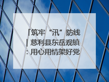 筑牢“汛”防线｜慈利县东岳观镇：用心用情架好党群温暖悠长的“连心桥”