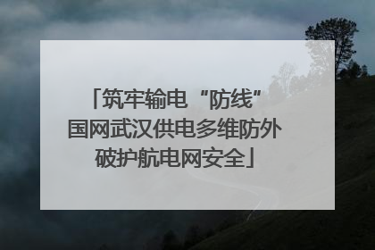 筑牢输电“防线” 国网武汉供电多维防外破护航电网安全