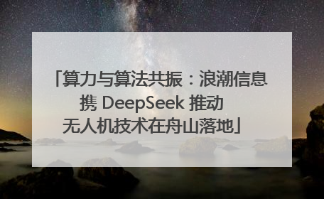 算力与算法共振：浪潮信息携 DeepSeek 推动无人机技术在舟山落地