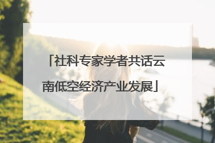 社科专家学者共话云南低空经济产业发展