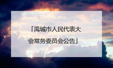 禹城市人民代表大会常务委员会公告
