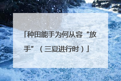种田能手为何从容“放手”（三夏进行时）