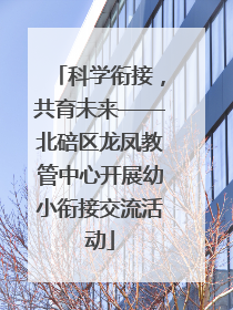 科学衔接，共育未来——北碚区龙凤教管中心开展幼小衔接交流活动