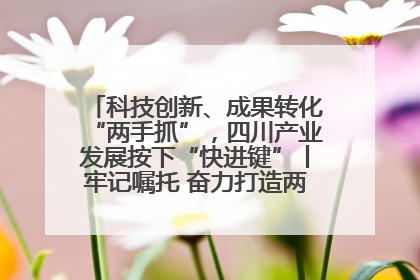 科技创新、成果转化“两手抓”，四川产业发展按下“快进键”丨牢记嘱托 奋力打造两高地两基地一屏障