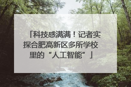 科技感满满！记者实探合肥高新区多所学校里的“人工智能”