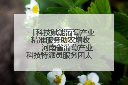 科技赋能葡萄产业 精准服务助农增收——河南省葡萄产业科技特派员服务团太康县科技服务纪实