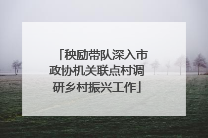 秧励带队深入市政协机关联点村调研乡村振兴工作