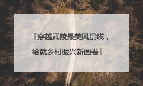 穿越武陵最美风景线，绘就乡村振兴新画卷