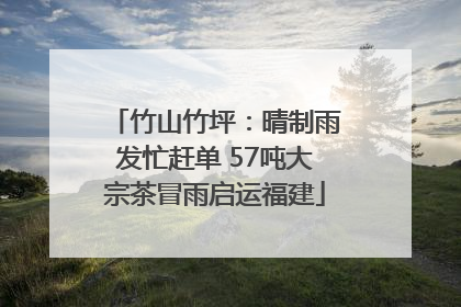 竹山竹坪：晴制雨发忙赶单 57吨大宗茶冒雨启运福建
