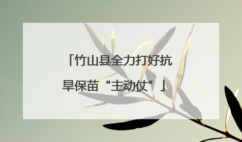 竹山县全力打好抗旱保苗“主动仗”