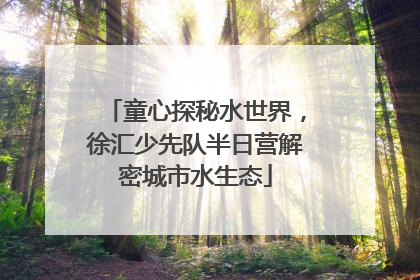 童心探秘水世界，徐汇少先队半日营解密城市水生态