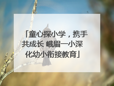 童心探小学，携手共成长 峨眉一小深化幼小衔接教育