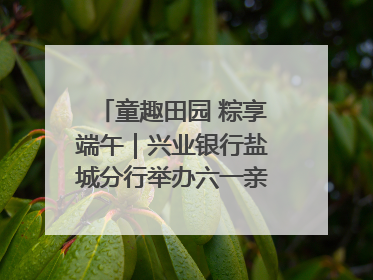 童趣田园 粽享端午｜兴业银行盐城分行举办六一亲子嘉年华活动