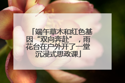 端午草木和红色基因“双向奔赴”，雨花台在户外开了一堂沉浸式思政课