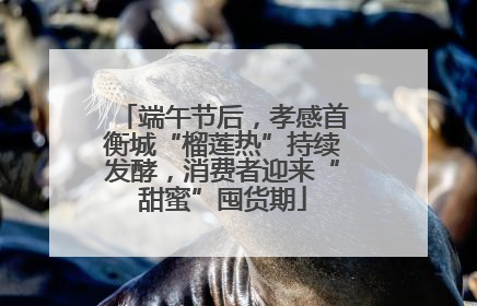 端午节后，孝感首衡城“榴莲热”持续发酵，消费者迎来“甜蜜”囤货期