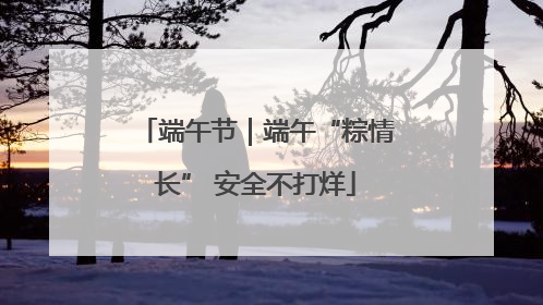端午节｜端午“粽情长” 安全不打烊