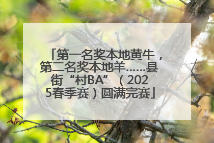 第一名奖本地黄牛，第二名奖本地羊……县街“村BA”（2025春季赛）圆满完赛