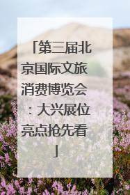 第三届北京国际文旅消费博览会：大兴展位亮点抢先看