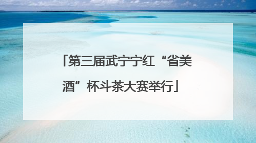 第三届武宁宁红“省美酒”杯斗茶大赛举行