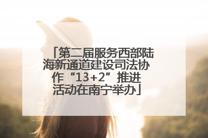 第二届服务西部陆海新通道建设司法协作“13+2”推进活动在南宁举办