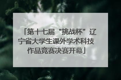 第十七届“挑战杯”辽宁省大学生课外学术科技作品竞赛决赛开幕