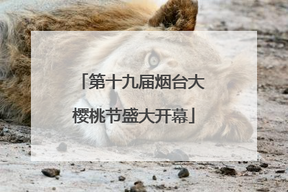 第十九届烟台大樱桃节盛大开幕