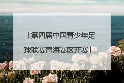 第四届中国青少年足球联赛青海赛区开赛