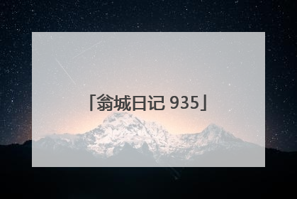 翁城日记 935
