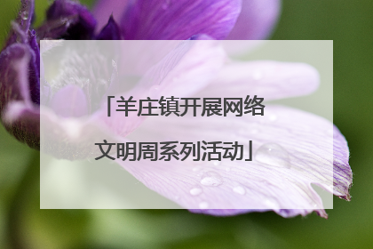 羊庄镇开展网络文明周系列活动