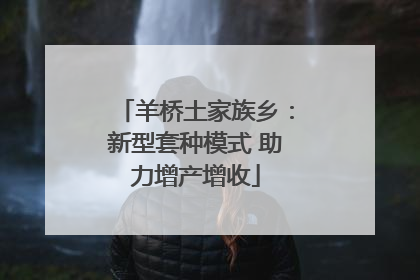 羊桥土家族乡：新型套种模式 助力增产增收