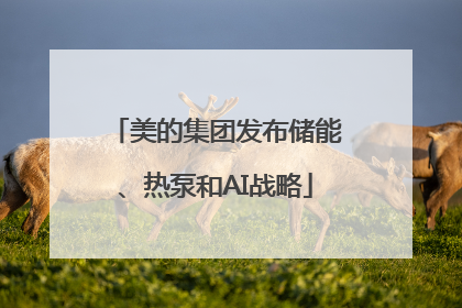 美的集团发布储能、热泵和AI战略
