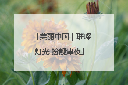 美丽中国｜璀璨灯光 扮靓津夜