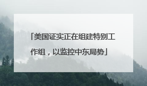 美国证实正在组建特别工作组，以监控中东局势