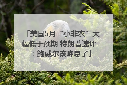 美国5月“小非农”大幅低于预期 特朗普速评：鲍威尔该降息了