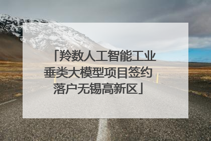 羚数人工智能工业垂类大模型项目签约落户无锡高新区