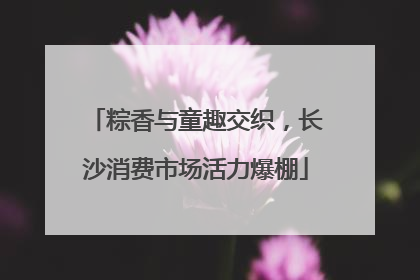 粽香与童趣交织，长沙消费市场活力爆棚