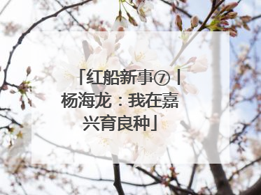 红船新事⑦丨杨海龙：我在嘉兴育良种