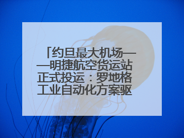约旦最大机场——明捷航空货运站正式投运：罗地格工业自动化方案驱动中东物流未来新航向