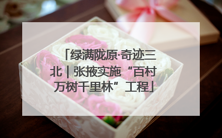 绿满陇原·奇迹三北｜张掖实施“百村万树千里林”工程