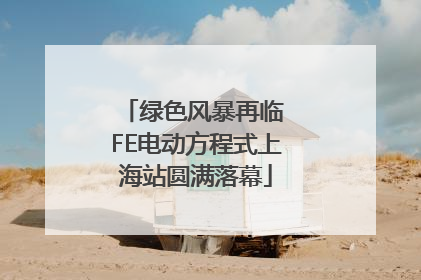 绿色风暴再临 FE电动方程式上海站圆满落幕