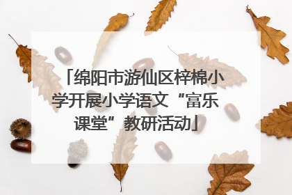 绵阳市游仙区梓棉小学开展小学语文“富乐课堂”教研活动