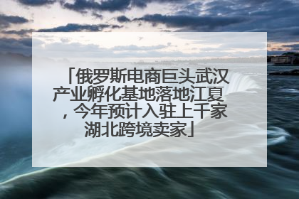 俄罗斯电商巨头武汉产业孵化基地落地江夏，今年预计入驻上千家湖北跨境卖家