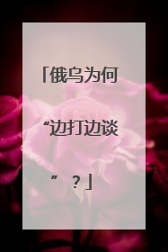 俄乌为何“边打边谈”？