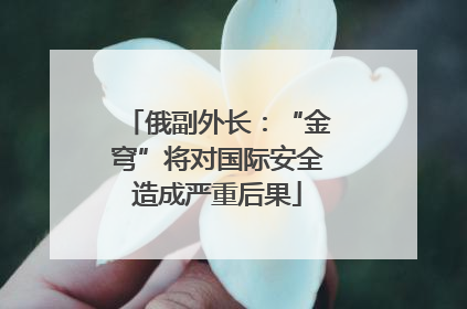 俄副外长：“金穹”将对国际安全造成严重后果