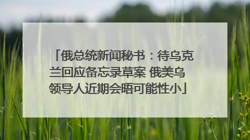 俄总统新闻秘书：待乌克兰回应备忘录草案 俄美乌领导人近期会晤可能性小