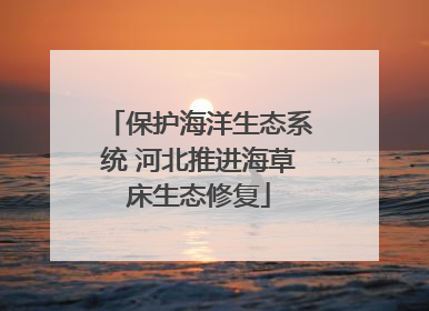 保护海洋生态系统 河北推进海草床生态修复
