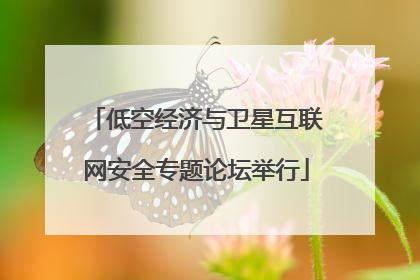 低空经济与卫星互联网安全专题论坛举行