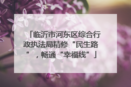 临沂市河东区综合行政执法局精修“民生路”，畅通“幸福线”