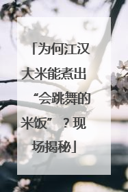 为何江汉大米能煮出“会跳舞的米饭”？现场揭秘